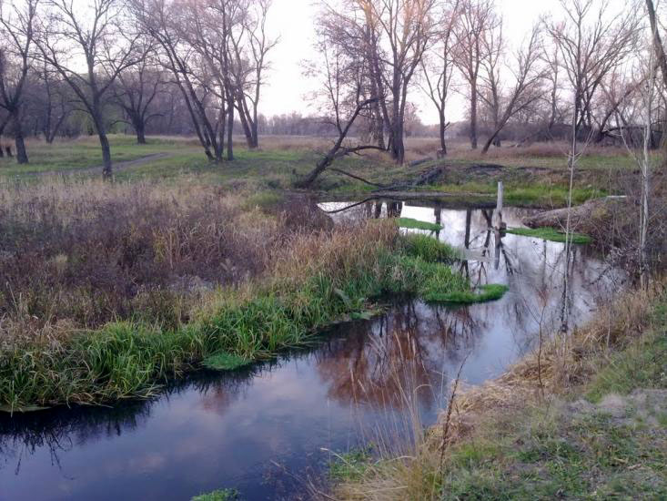 Річка Лопань
